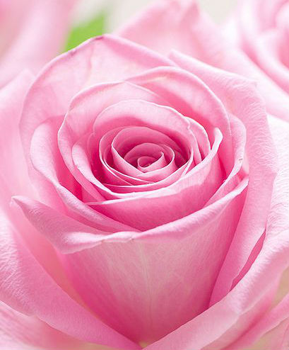 64b889e16ada542c900d61ac6474af45