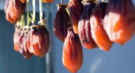 ビタミン満点!秋のカキを効果的に食べて美肌になる方法! ビタミン満点!秋のカキを効果的に食べて美肌になる方法!