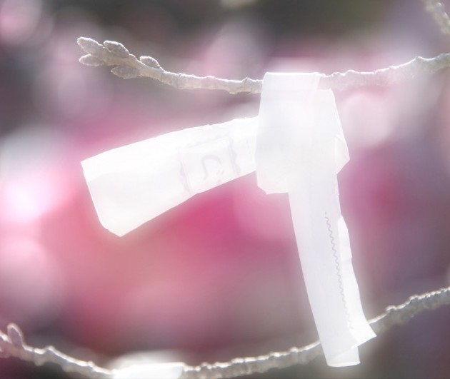 2016年の運命を読み解く！9つの「数秘」で一年の幸せを占う方法