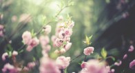 疲れたココロに効く!5月の開運パワーがみなぎる「心理テスト」 疲れたココロに効く!5月の開運パワーがみなぎる「心理テスト」