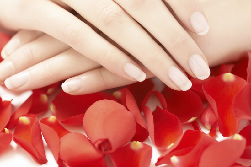 iStock_000021202707_Medium