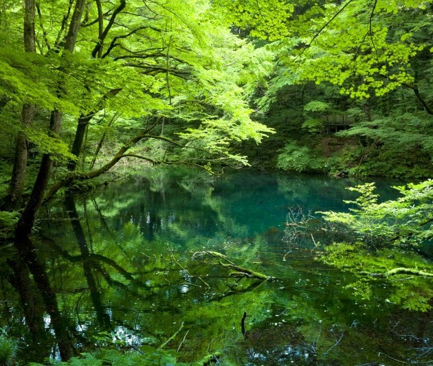 【五感を磨く】愛と幸せをいっぱい感じる「本能」が研ぎ澄まされる「5つの絶景」