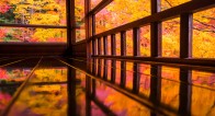 生きているうちに一度は見たい!京都の秋の絶景とは?【10月28日~11月1日】