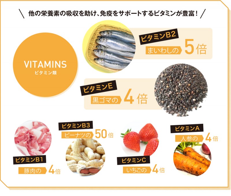 モリンガに含まれるビタミン量