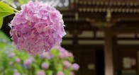 女性に大ブーム中!お寺や神社巡りが楽しくなる「御朱印集め」の魅力とは? 女性に大ブーム中!お寺や神社巡りが楽しくなる「御朱印集め」の魅力とは?