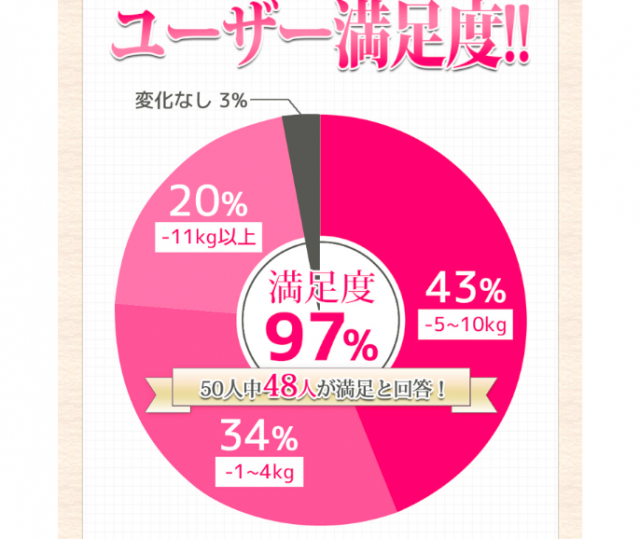 フライビシット　口コミ　ユーザー満足度