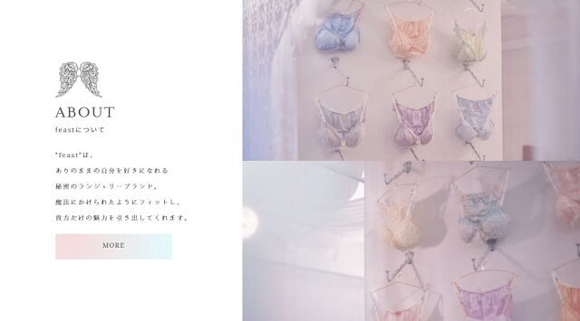 Aカップ　ブラジャー　feast