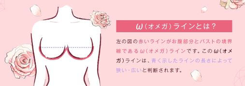 ナイトブラ ルーナ オメガライン