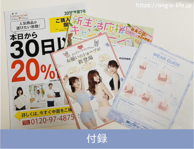 エレアリーナイトブラ 付録