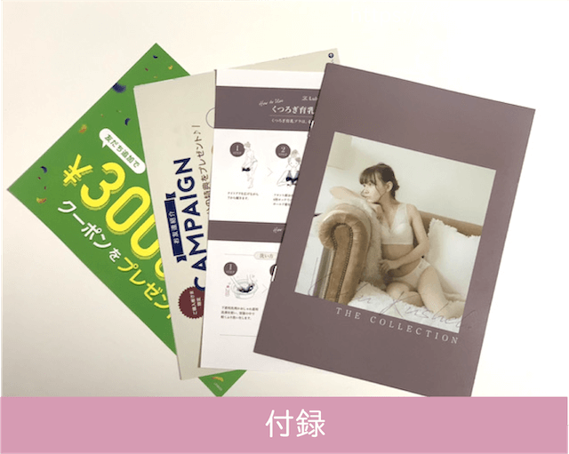 ルルクシェル　付録