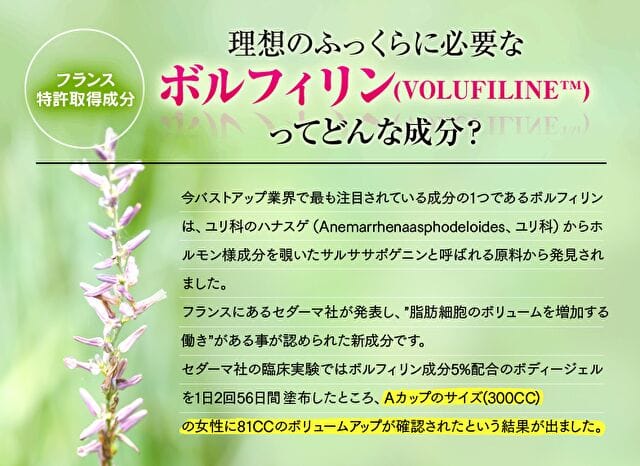 セルノート 成分