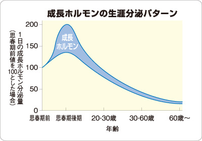 セルノート 高校生