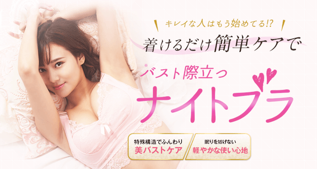 エレアリーナイトブラ